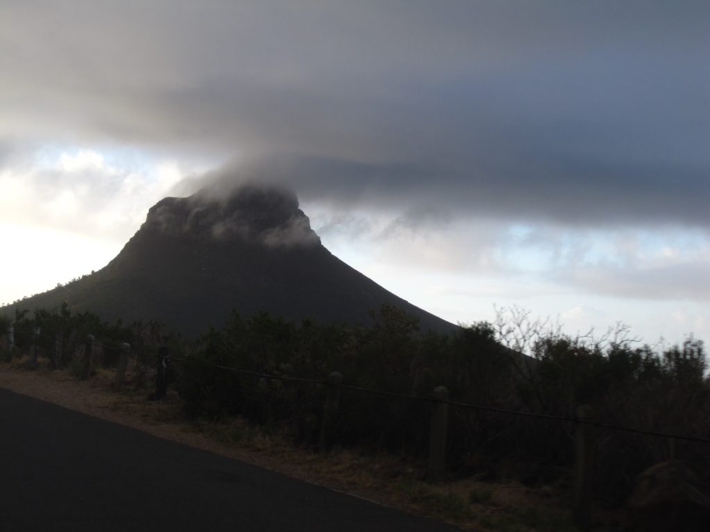 Lion's head